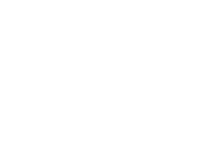 UNEFON logo